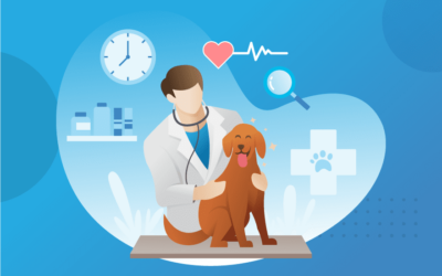 Anatomy, Ethics, and Expertise: Navigating the Bachelor of Veterinary Science Curriculum